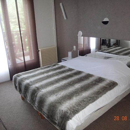 Hotel Bon Accueil Oyonnax Rum bild